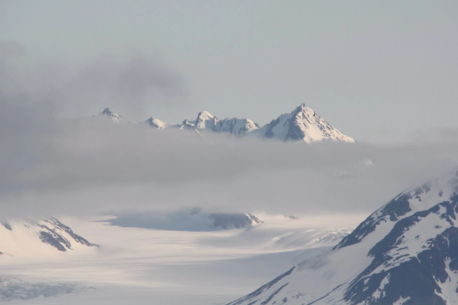 Arktis - Svalbard