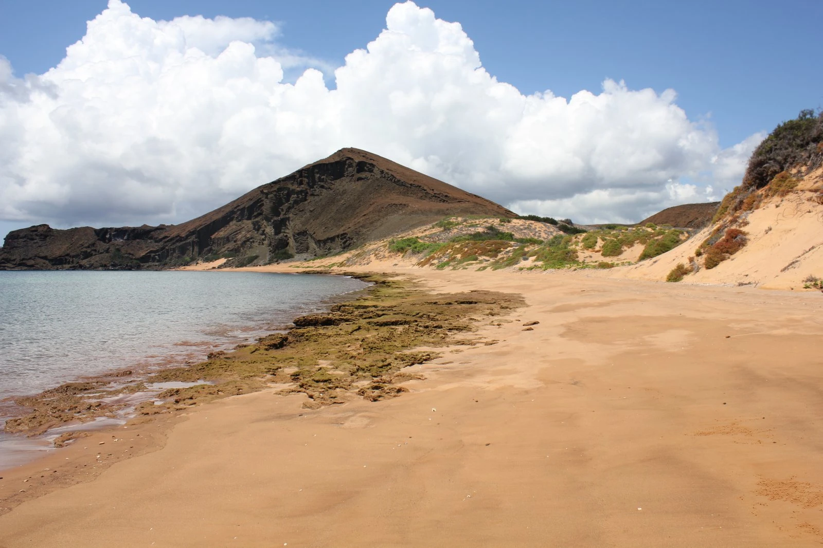 Galapagos