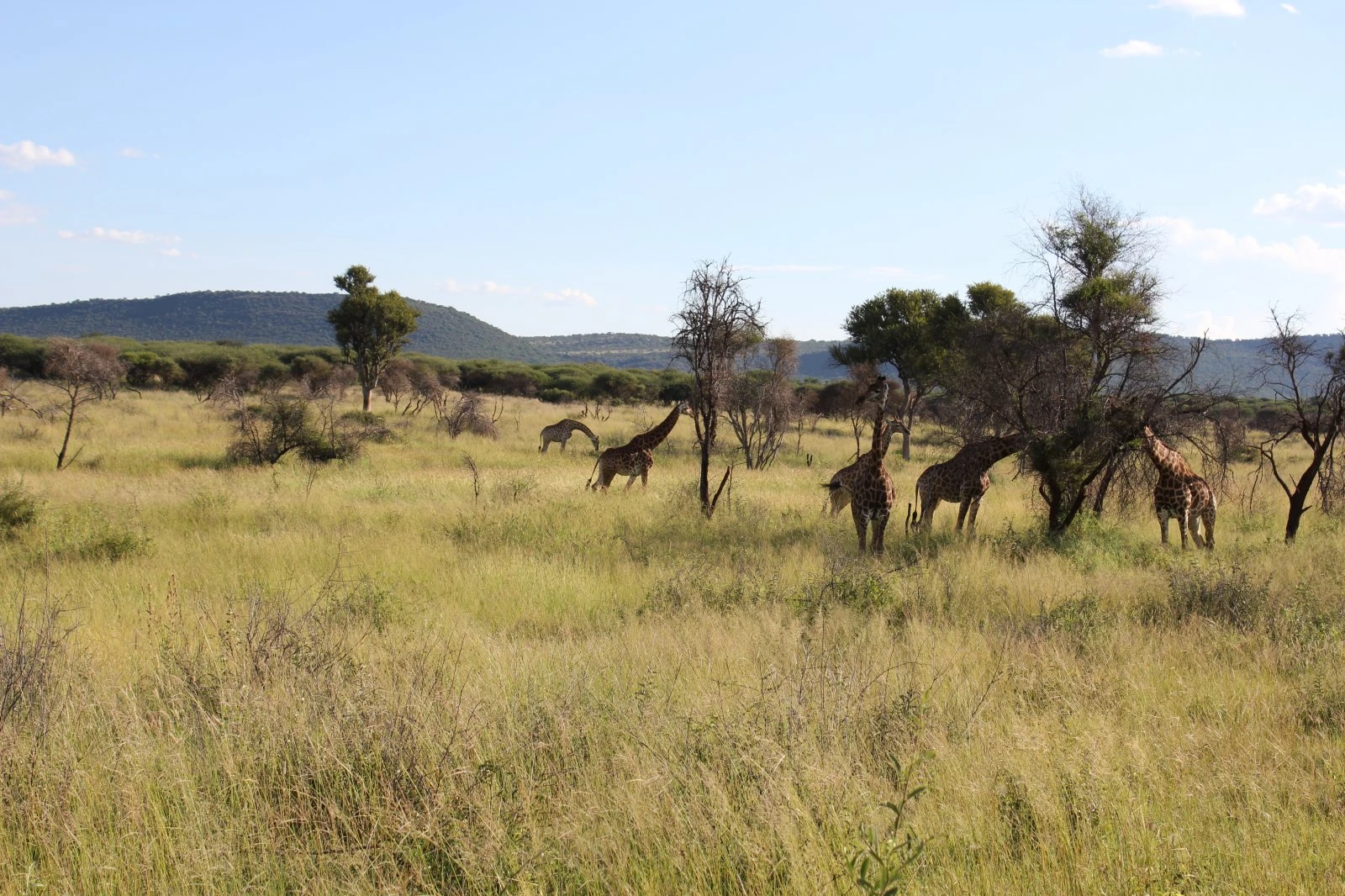 Südafrika