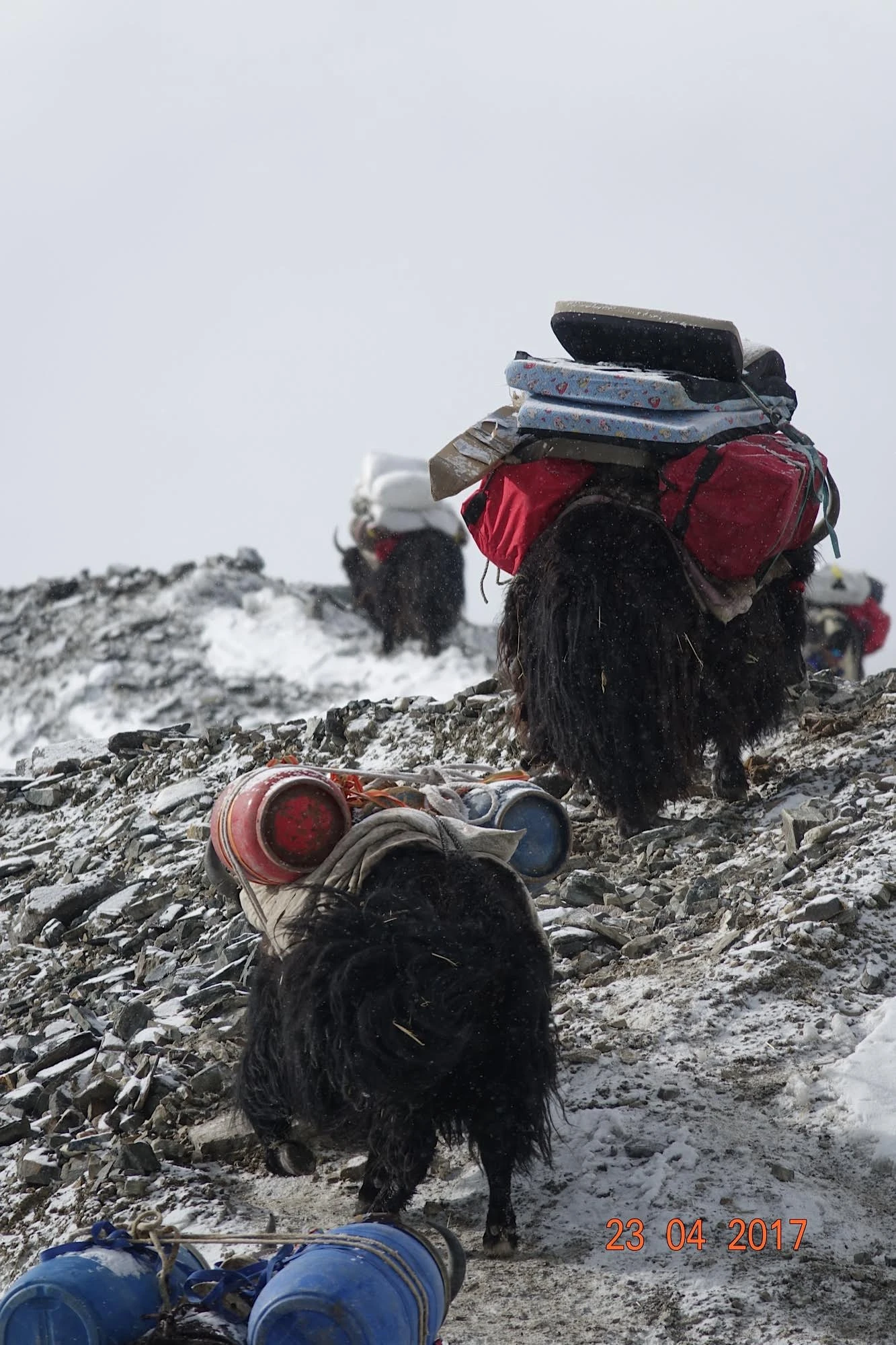 My Everest